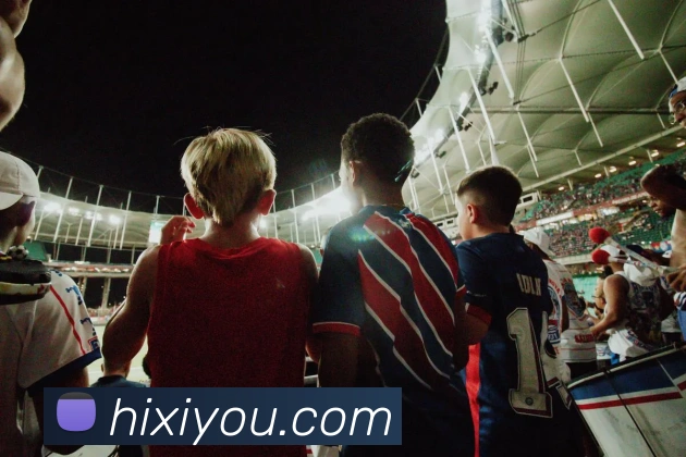 星空平台生态图